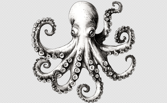 Download Octopus PNG Sublimation 300 DPI Clipart - Sublimation Collection